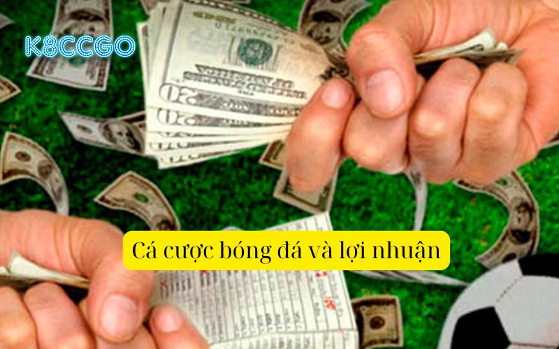 Cá cược bóng đá và lợi nhuận